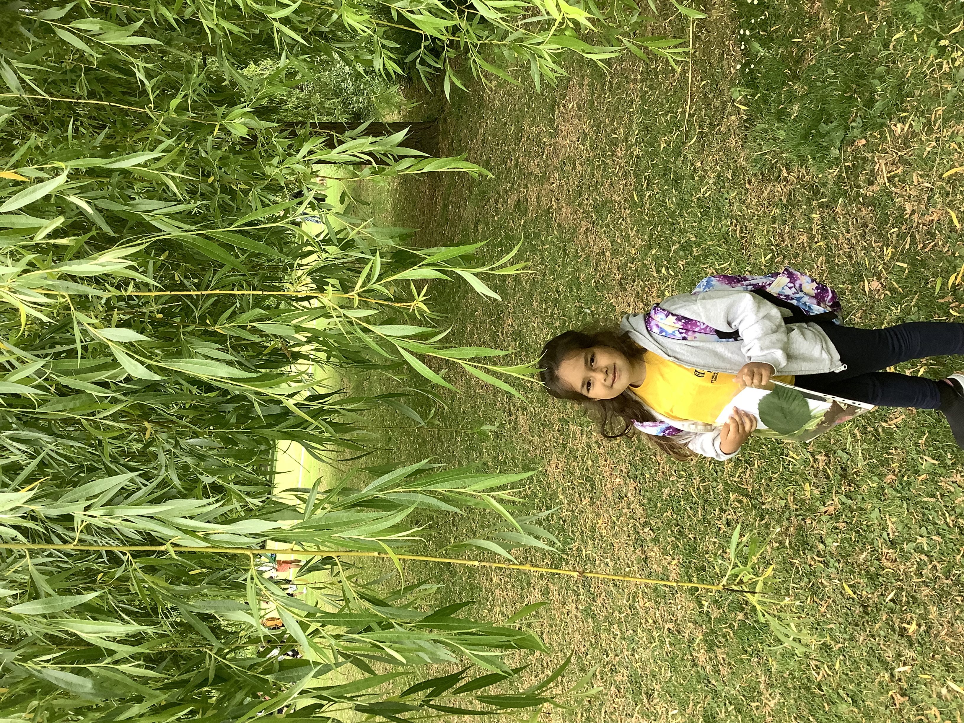 IMG_3466.JPG