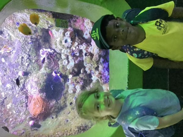 IMG_8978.JPG